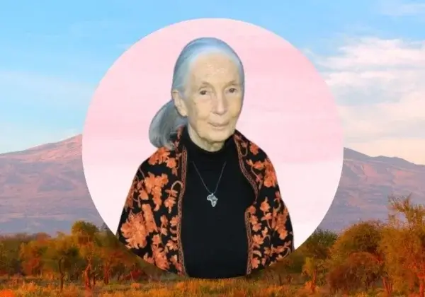 Le Dr Jane Goodall est la personnalité de l’année 2025 de PETA