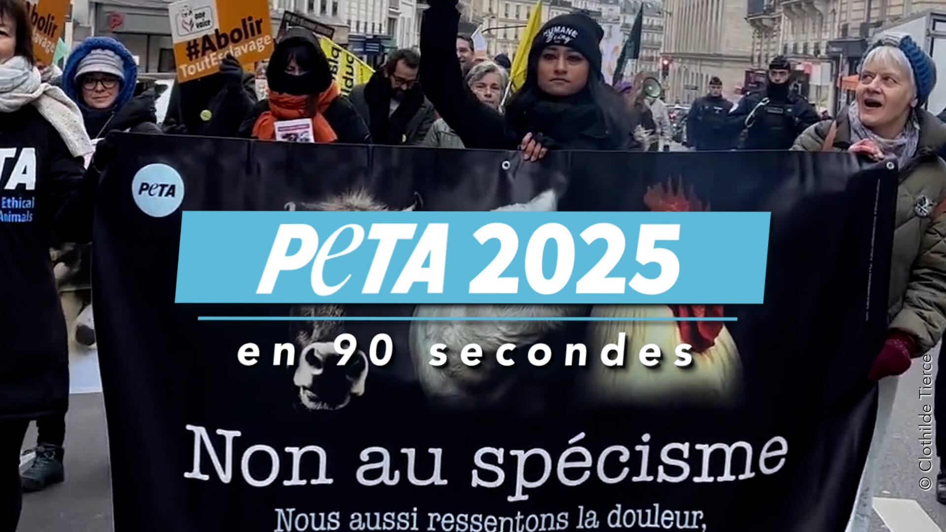 Faits marquants de 2025 : les victoires de PETA France pour les animaux !