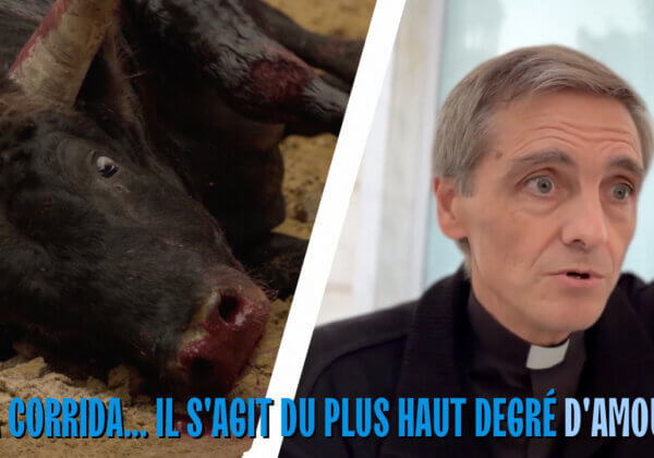 À voir : des prêtres catholiques soutiennent la corrida dans une vidéo écœurante
