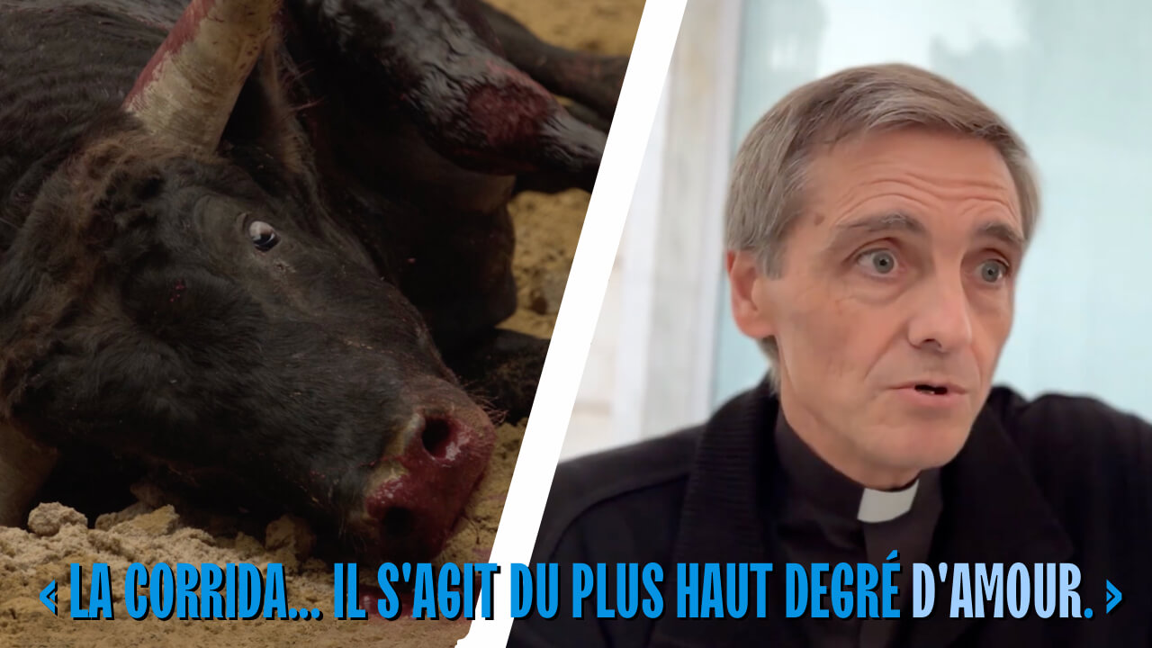 À voir : des prêtres catholiques soutiennent la corrida dans une vidéo écœurante