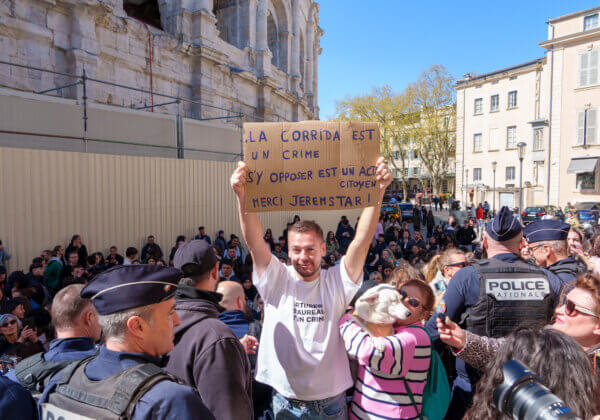 Procès : Jeremstar face à la justice pour avoir protesté contre le supplice d&rsquo;un taureau