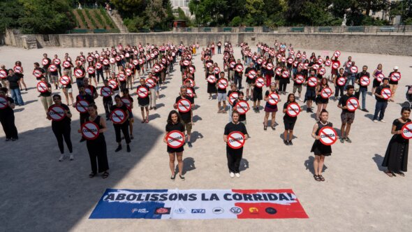 « Abolissons la corrida » : plus de 200 militants envahissent les arènes de Lutèce