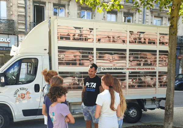 « L’Enfer mobile », le camion de PETA, exhorte le public à laisser les cochons tranquilles