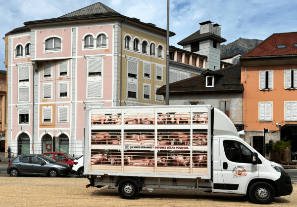 « L’Enfer mobile », le camion de PETA, exhorte le public à laisser les cochons tranquilles