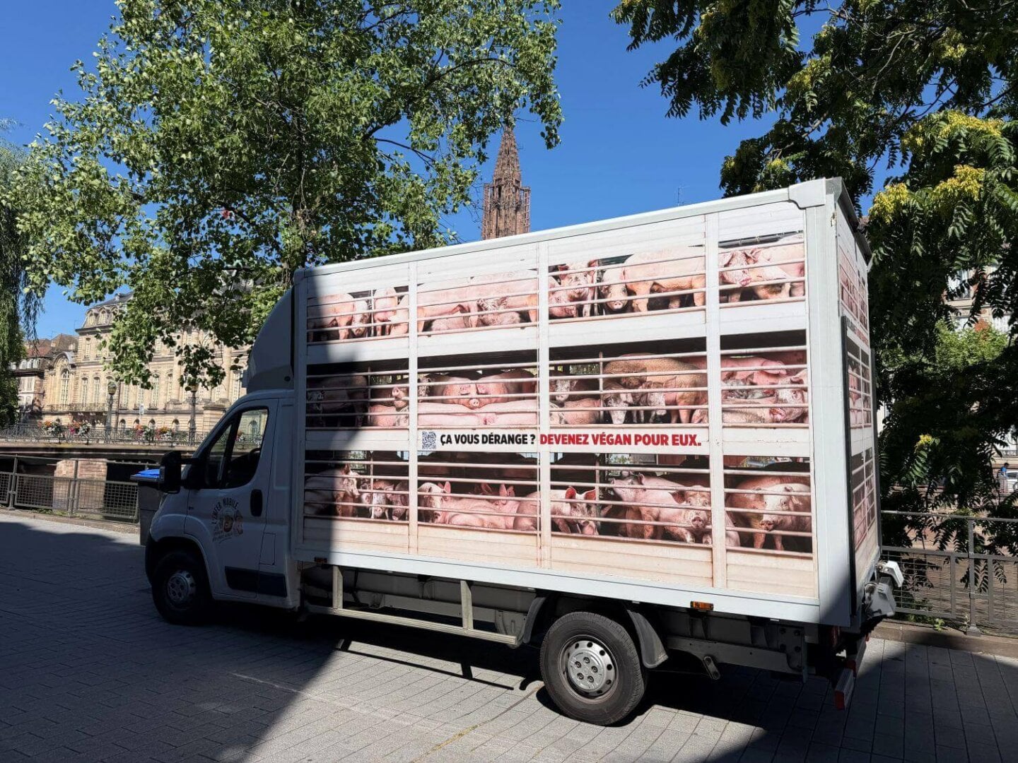 « L’Enfer mobile », le camion de PETA, exhorte le public à laisser les cochons tranquilles