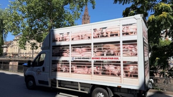 « L’Enfer mobile », le camion de PETA, exhorte le public à laisser les cochons tranquilles