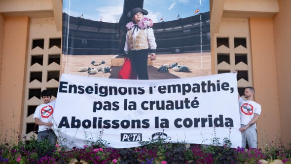 À Mont-de-Marsan, des militants dénoncent l’endoctrinement pro-corrida des enfants en déployant une banderole sur les arènes