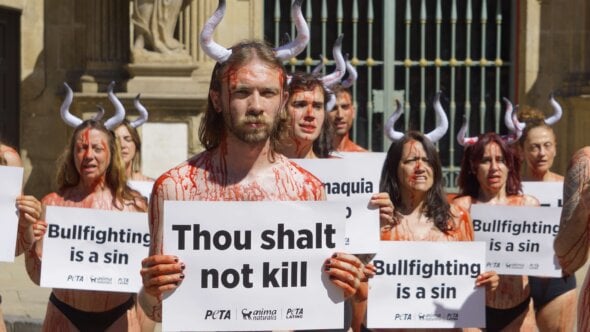 Pampelune 2026 – le message de « Jésus » à l’Église catholique : coupez les ponts avec les cruelles corridas