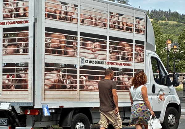 « L’Enfer mobile », le camion de PETA, exhorte le public à laisser les cochons tranquilles